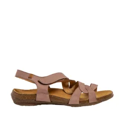 El Naturalista Wakataua N5079