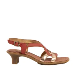 El Naturalista Igusa N5992