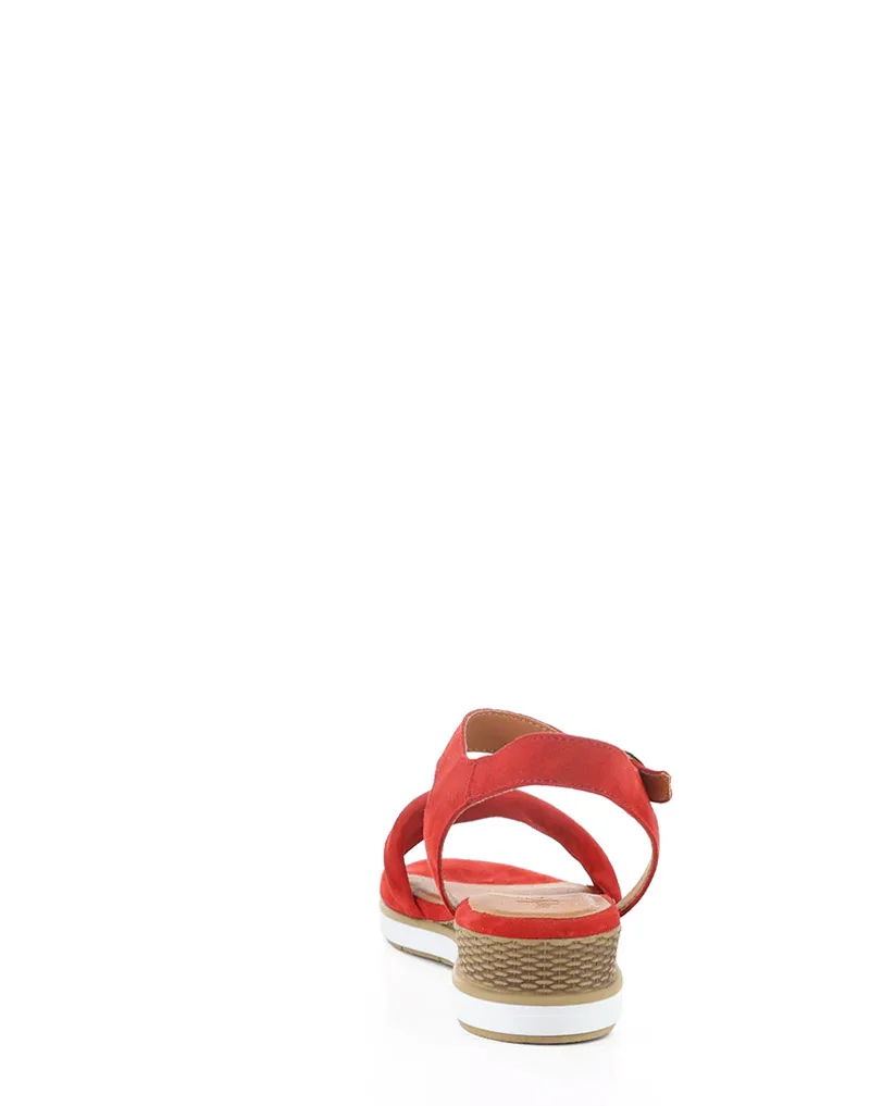 Avon slika 8