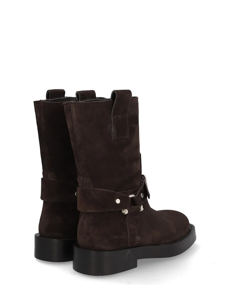5297 Eloise slika 2