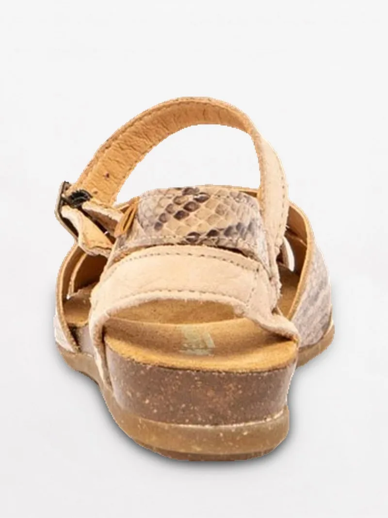 Stella N5207S slika 4