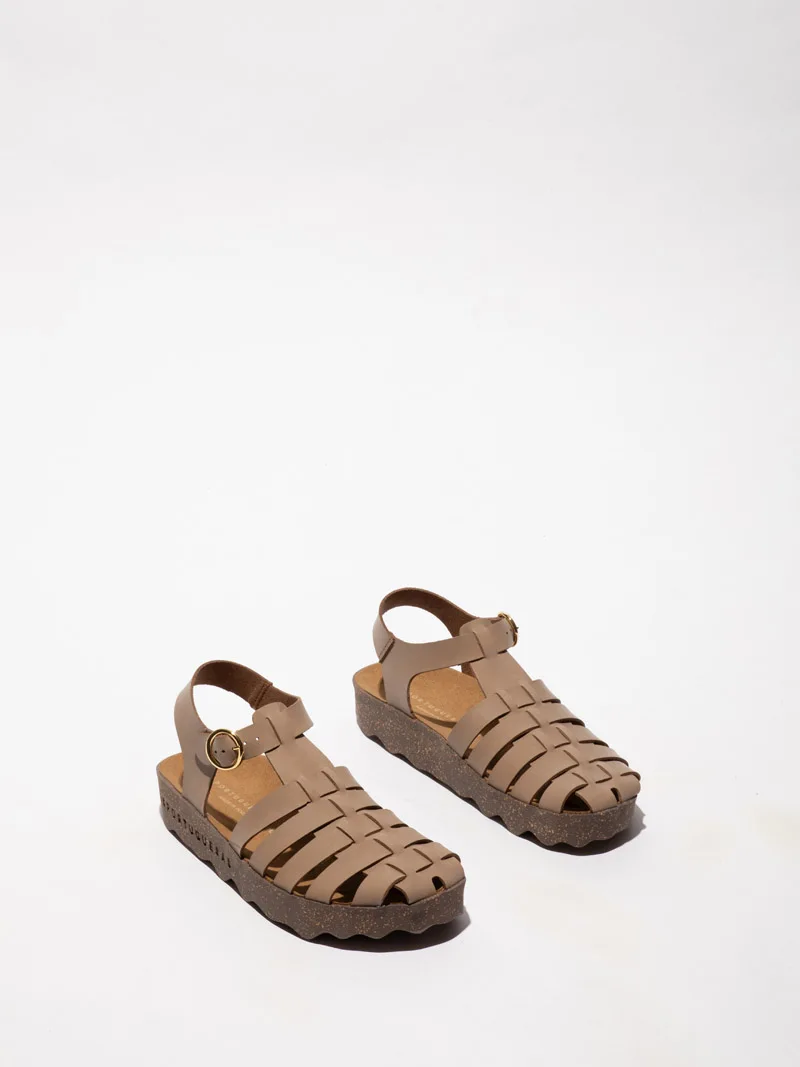 Calix P018277 slika 1