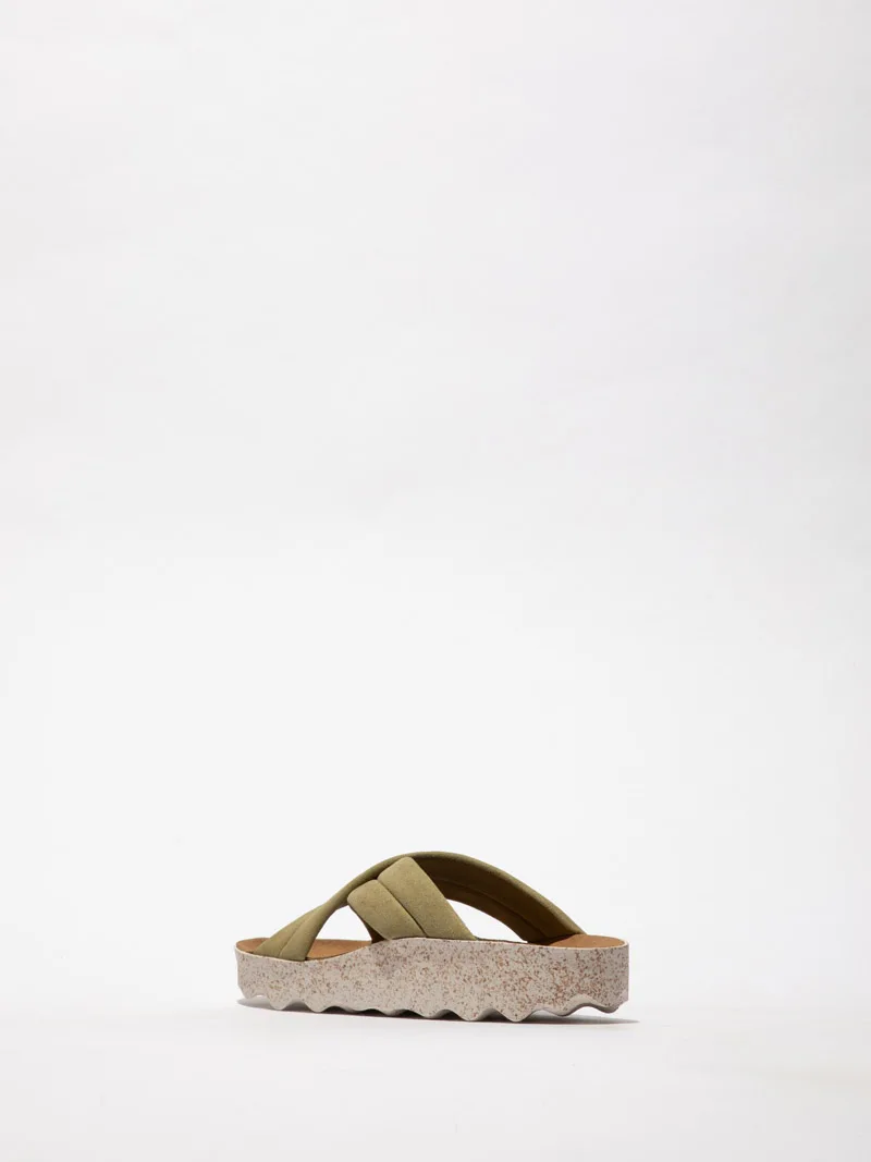 Curr P018280 slika 2