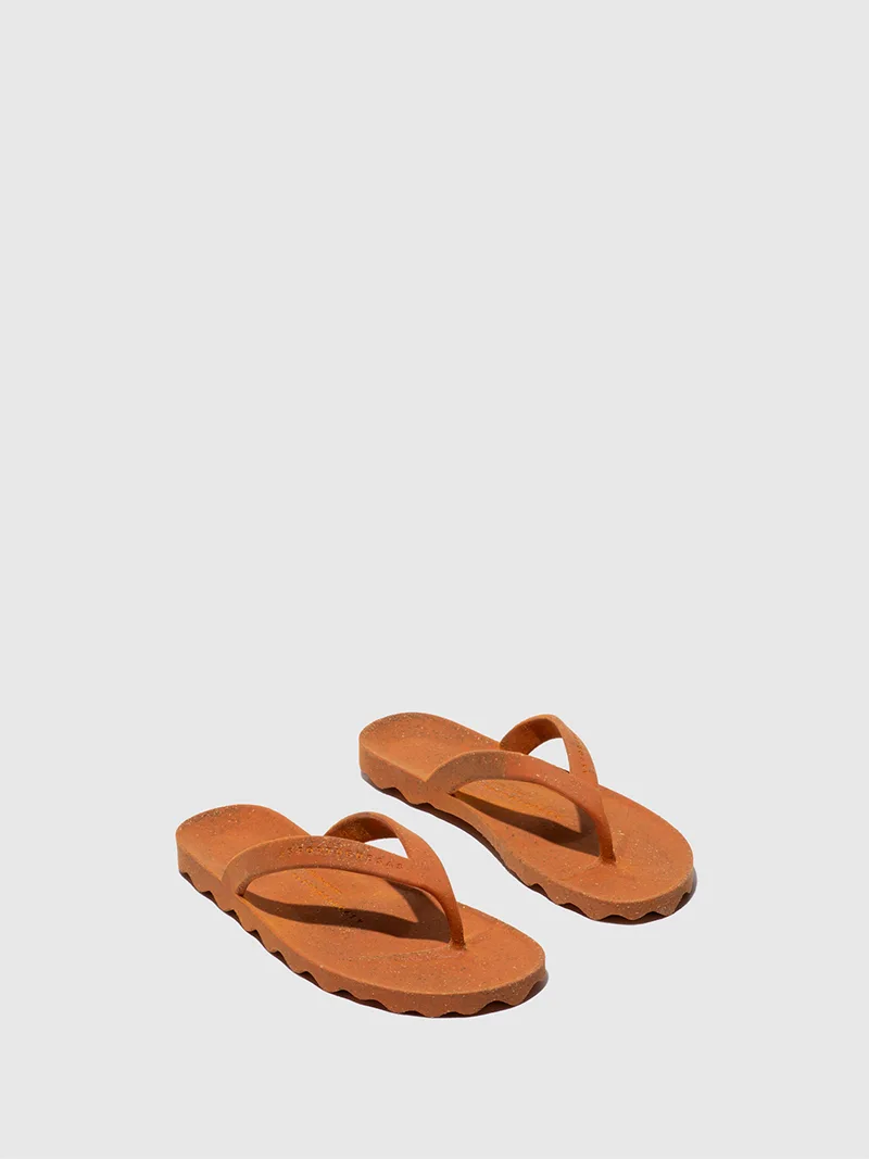 Earth P018291 slika 1