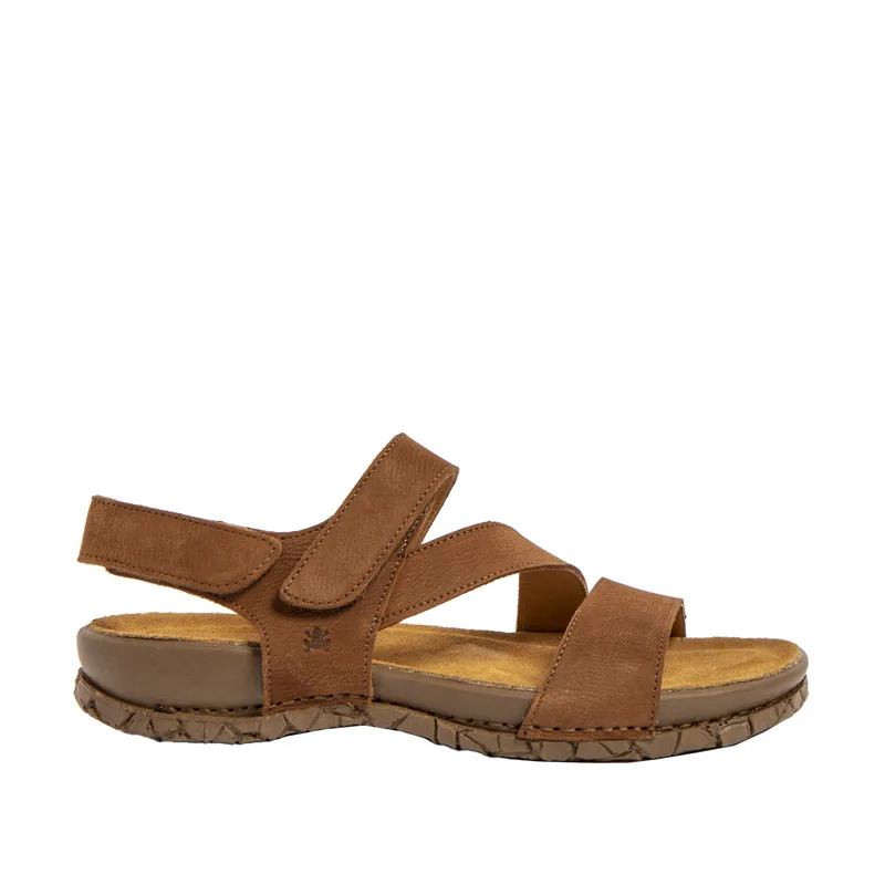 El Naturalista Tabernas N5860