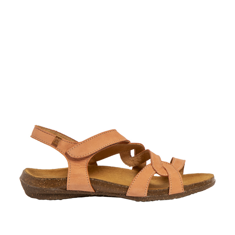 El Naturalista Wakataua N5079