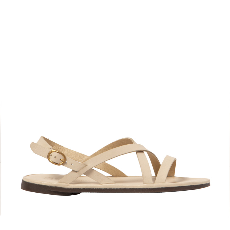 El Naturalista Tulip N5694