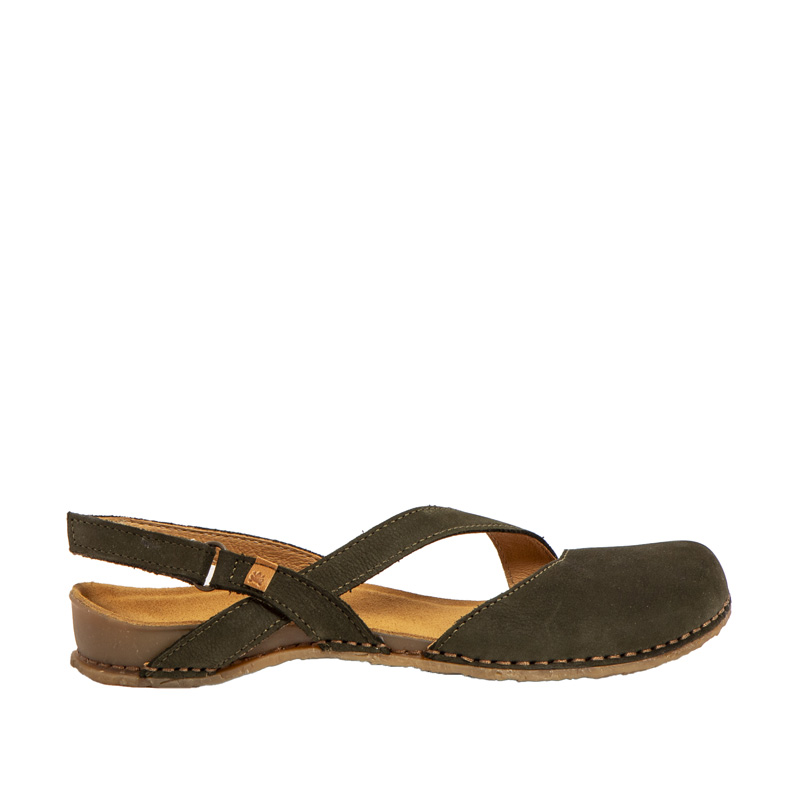 El Naturalista Panglao N5813