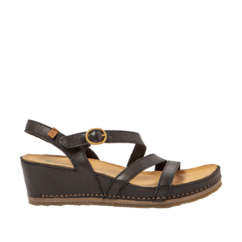 Picual N5855
