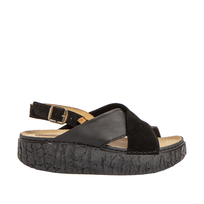 El Naturalista Shinrin N5972