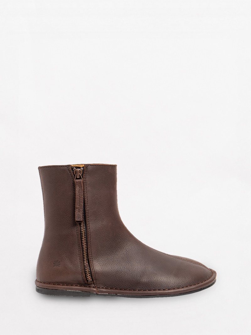 El Naturalista Crisol N5985