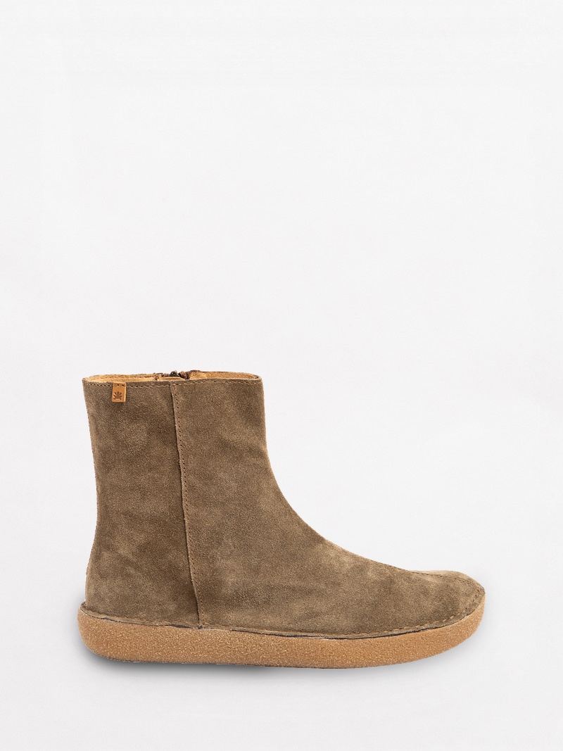 El Naturalista Tami N6063